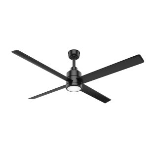 Hunter TRAK Fan with Light