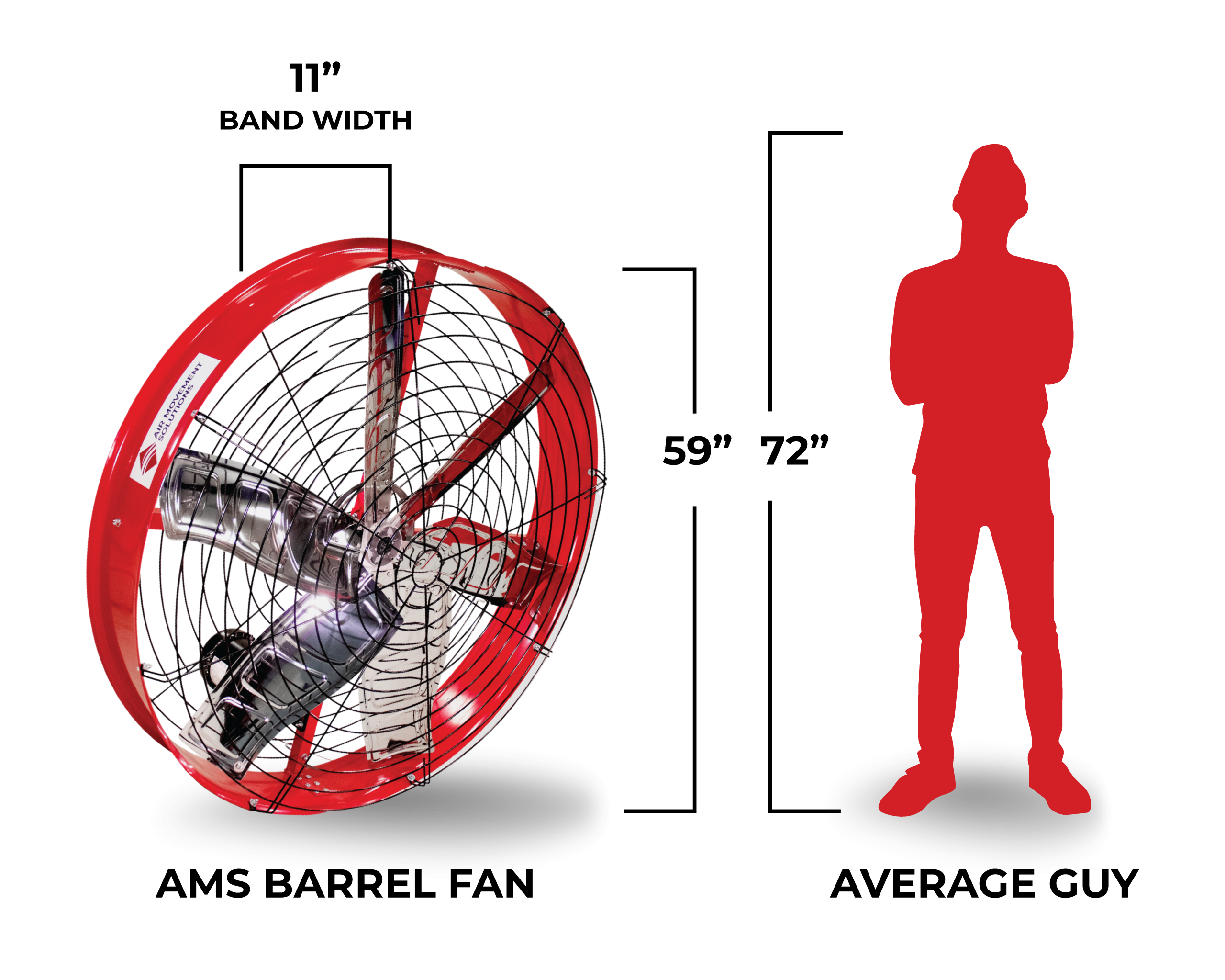 AMS Updated_height Creative