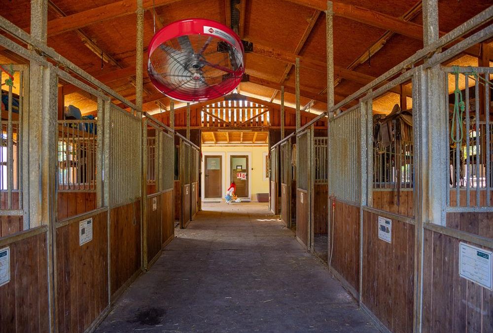 Ceiling Fans for Horse Barns and Stables