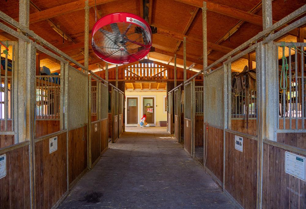 Ceiling Fans for Horse Barns and Stables